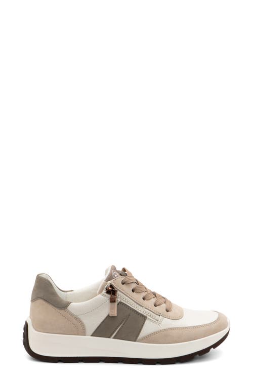 Ara Nerine Sneaker In Beige