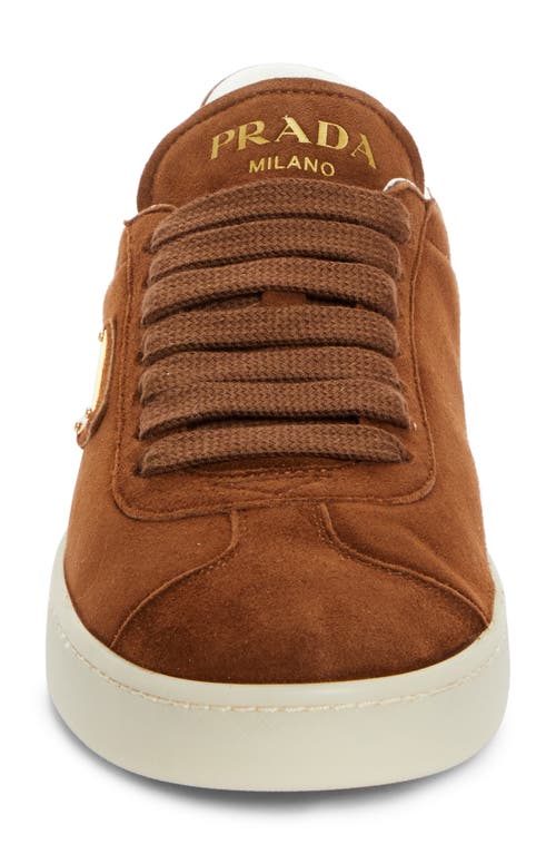 Prada Lane Triangle Logo Low Top Sneaker In Rovere