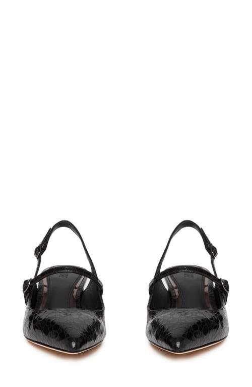 PAIGE PAIGE MAGGY SLINGBACK POINTED TOE PUMP