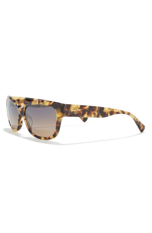 Maui Jim 55mm Cat Eye Sunglasses In Tortoise Tortoise Bronze