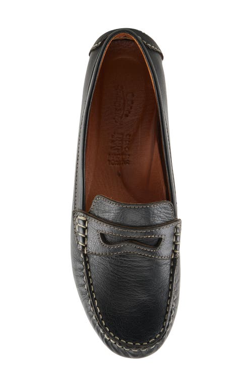 Shop Spring Step Audette Penny Loafer In Black