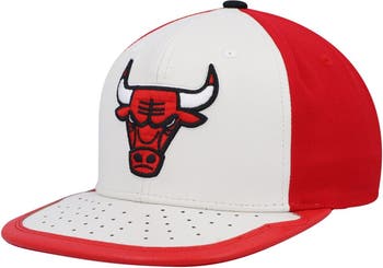 Mitchell & Ness Chicago Bulls Pro Crown Snapback Off White/Red