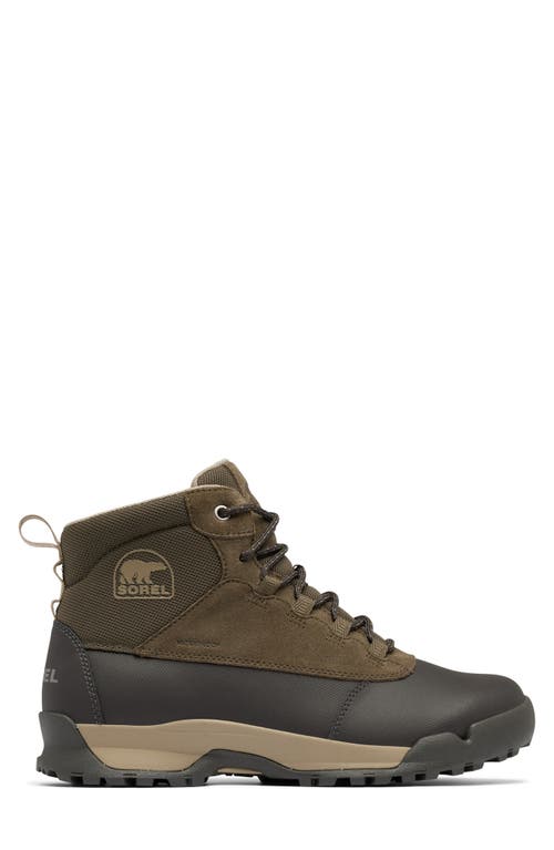 Shop Sorel Buxton Lite Plus Waterproof Boot In Major/jet