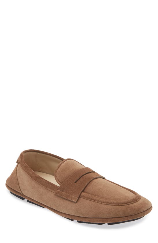 Shop Dolce & Gabbana Crosta Driving Shoe In Nocciola