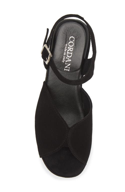 Cordani Jenna Platform Wedge Sandal In Crosta Nero