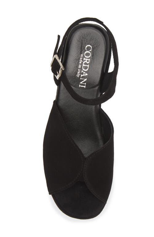 Shop Cordani Jenna Platform Wedge Sandal In Crosta Nero