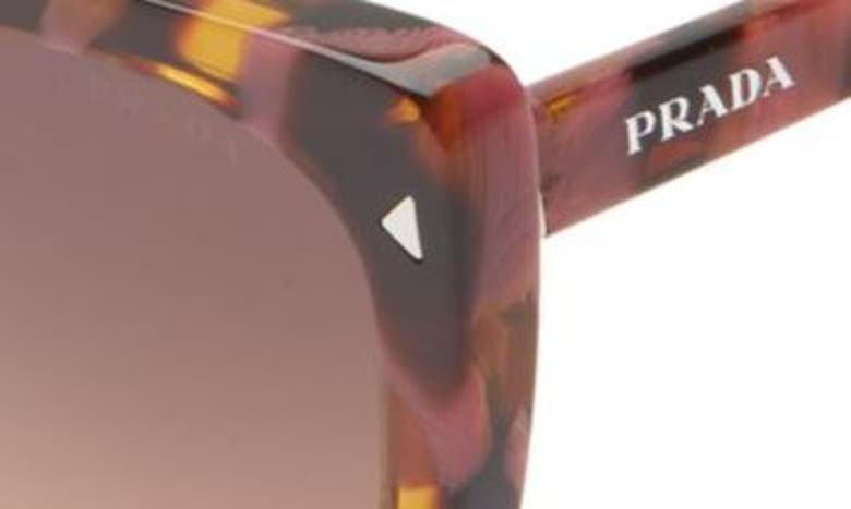 Shop Prada 52mm Square Sunglasses In Begonia Cognac