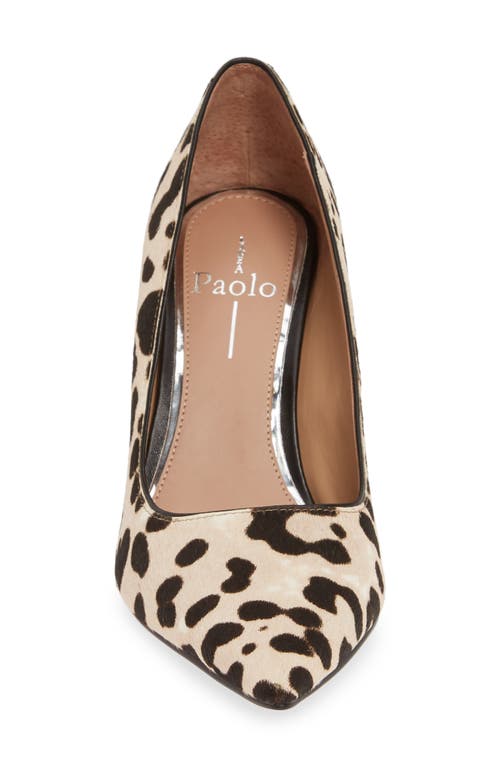 Shop Linea Paolo Payton Pointy Toe Pump In White/black Calf Hair