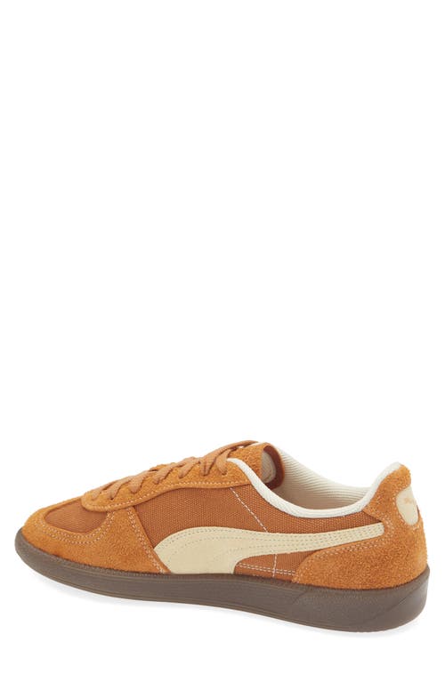 Shop Puma Palermo Sneaker In Caramel Latte-vanilla-gum