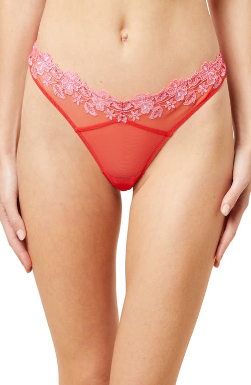 Etam Curieuse Floral Embroidered Tanga Thong in Red Multicolor