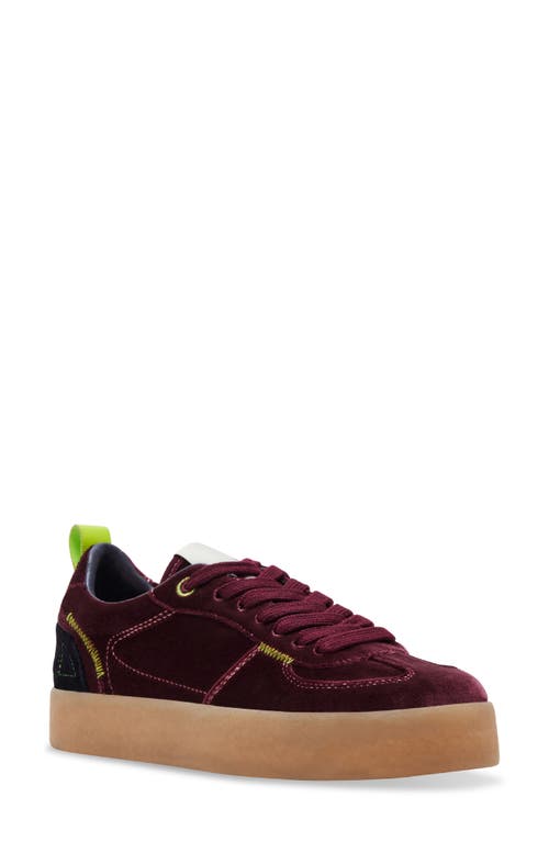 Shop Steve Madden Tucker Platform Sneaker In Burgundy Multi