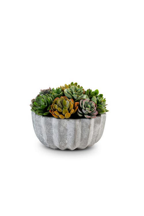 Cocobella Madison Pleated Ceramic Succulent Arrangement In Gray