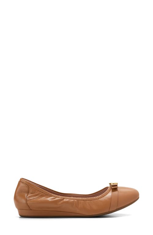 Shop Cole Haan Tova Bow Ballet Flat In Pecan Ltr