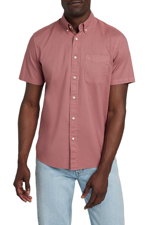 Faherty Playa Regular Fit Print Short Sleeve Button-down Shirt In Pink