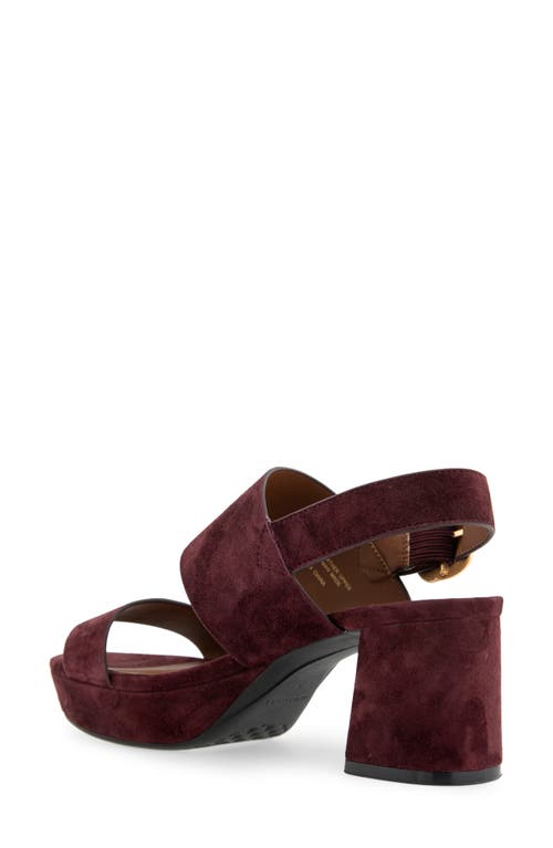 Shop Aerosoles Camera Platform Sandal In Deep Aubergine Suede