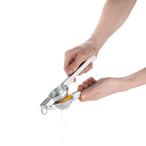Viski Professional Professional Citrus Juicer In Silver