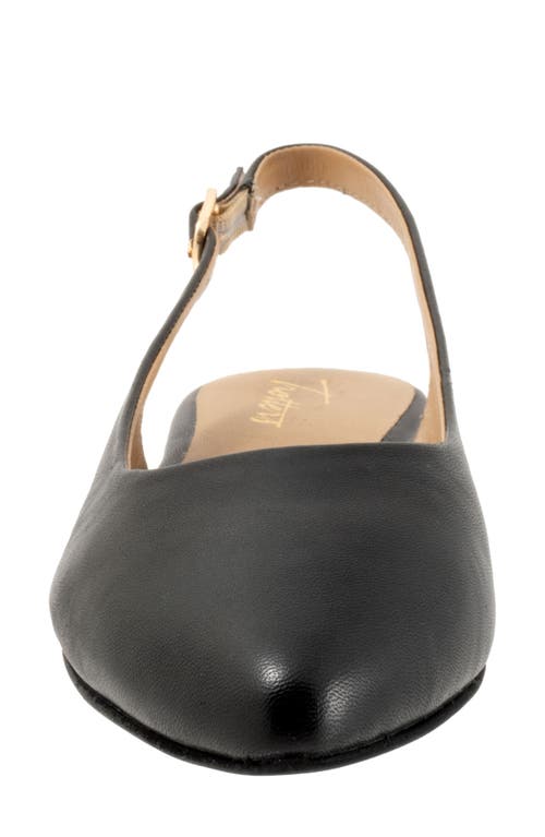 Trotters Evelyn Pointed Toe Slingback Flat In Black
