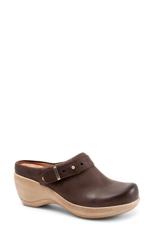 SoftWalk Marquette Clog Dark Brown Nu at Nordstrom,