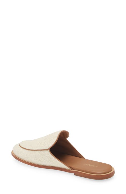 Kaanas Rex Mule In Honey