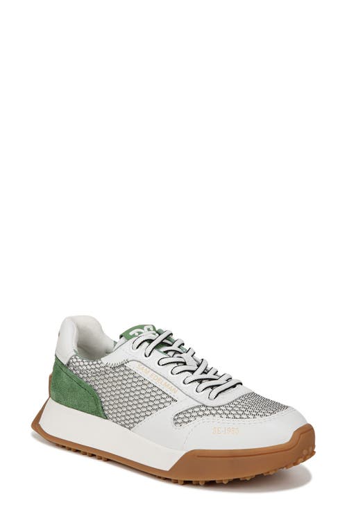 Sam Edelman Layla Sneaker In White/black/grass Green