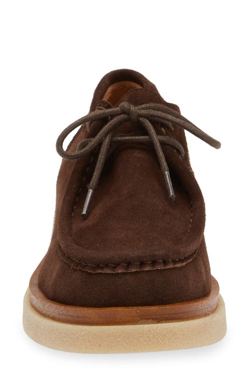 Cordani Maya Loafer In Brown Suede In Camoscio