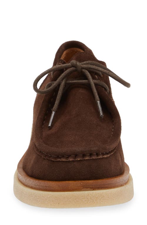 Shop Cordani Maya Chukka Derby In Camoscio