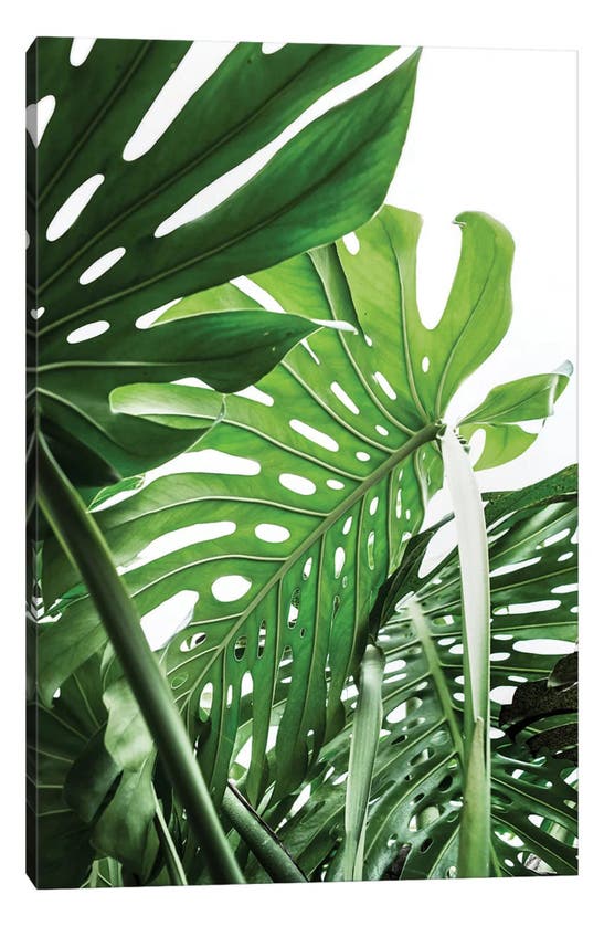 Icanvas Jungle By Sisi & Seb Canvas Wall Art In Multi