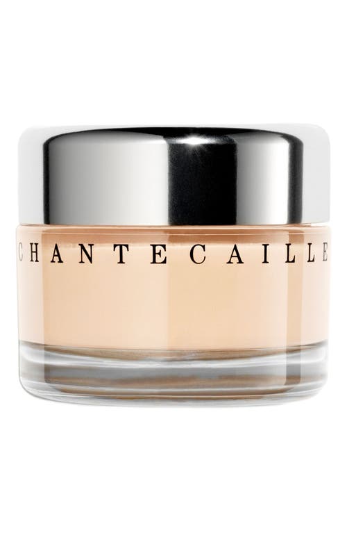 Chantecaille Future Skin Gel Foundation in Porcelain at Nordstrom