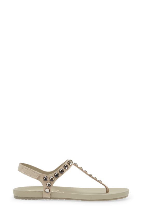 Shop Pedro Garcia Judith Crystal Stud Sandal In Seasalt Castoro