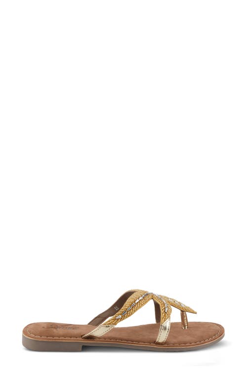 Azura By Spring Step Starry Flip Flop In Gold