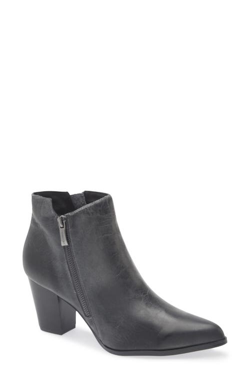 Chocolat Blu Eri Pointed Toe Bootie In Black Leather
