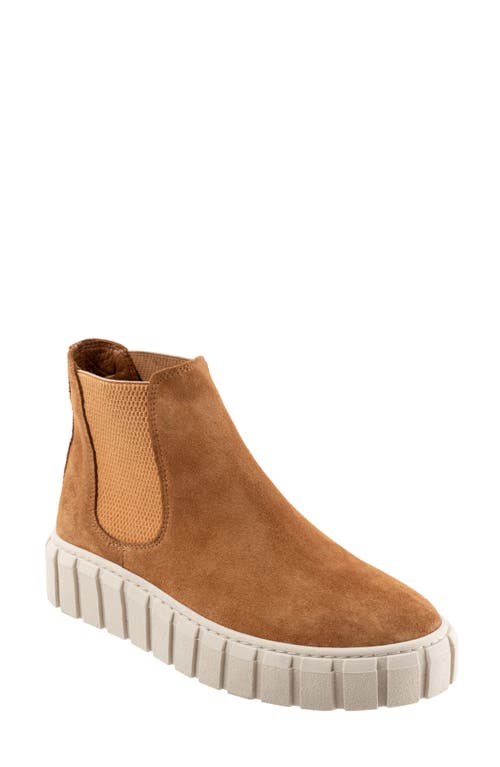 Bueno Tori Chelsea Boot Chestnut Suede at Nordstrom,
