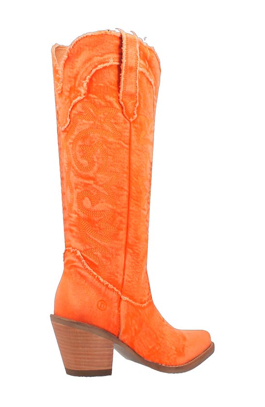 Shop Dingo Texas Tornado Knee High Western Boot In Orange