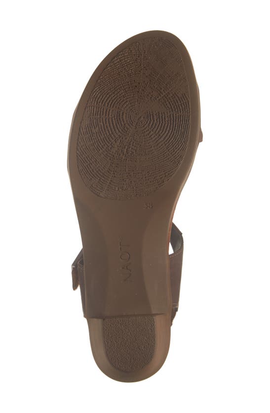 Naot 'intact' Sandal In Coffee Bean Brown