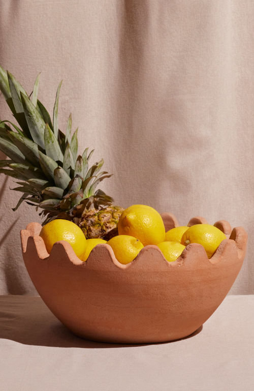 Meso Goods Ena Terracotta Bowl In Terracotta