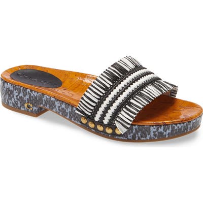 Coach Brayden Slide Sandal, Black