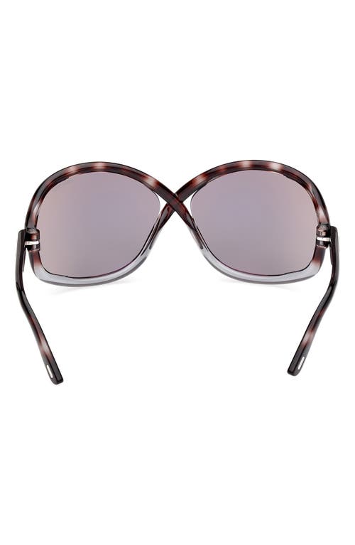 Shop Tom Ford Bettina 68mm Oversize Butterfly Sunglasses In Coloured Havana/smoke