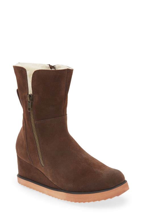Mallory Genuine Shearling Lined Boot in Chocolate Suede