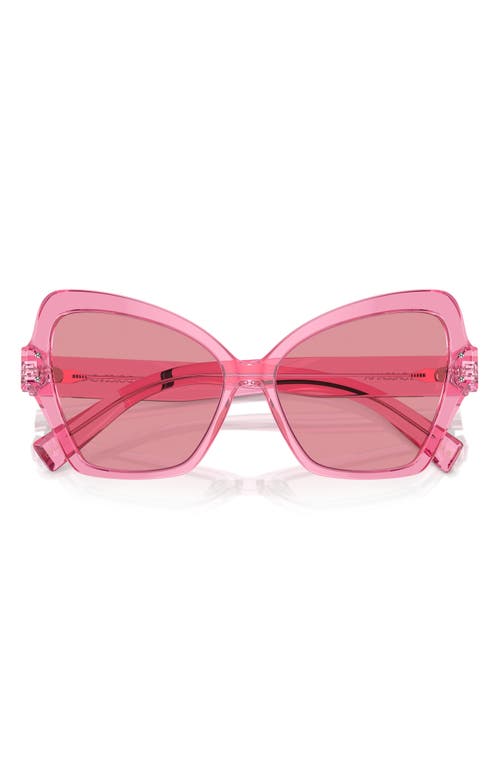 Dolce & Gabbana 56mm Butterfly Sunglasses in Trans Pink at Nordstrom