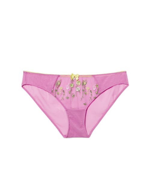 Adore Me Elie Bikini Panties In Medium Purple