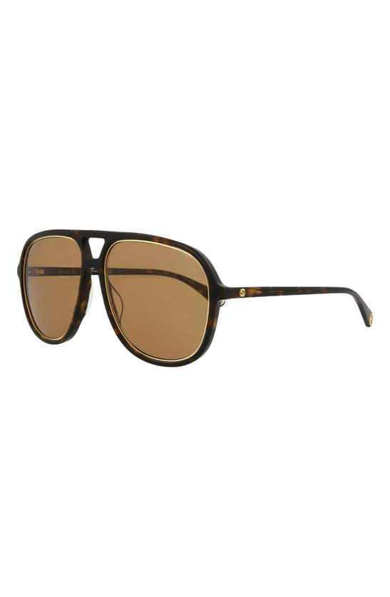 Shop Gucci 57mm Double-g Aviator Sunglasses In Havana Havana Brown