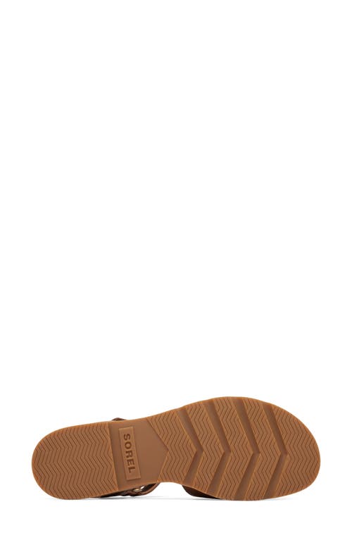 Sorel Ella Iii Ankle Strap Sandal In Velvet Tan/gum 2
