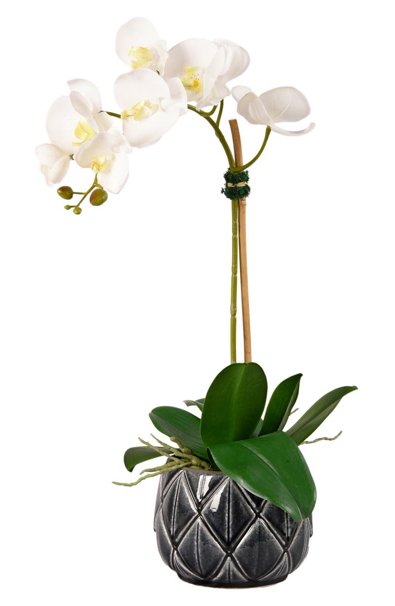 Bloomr Stella Orchid Planter Decoration Nordstrom