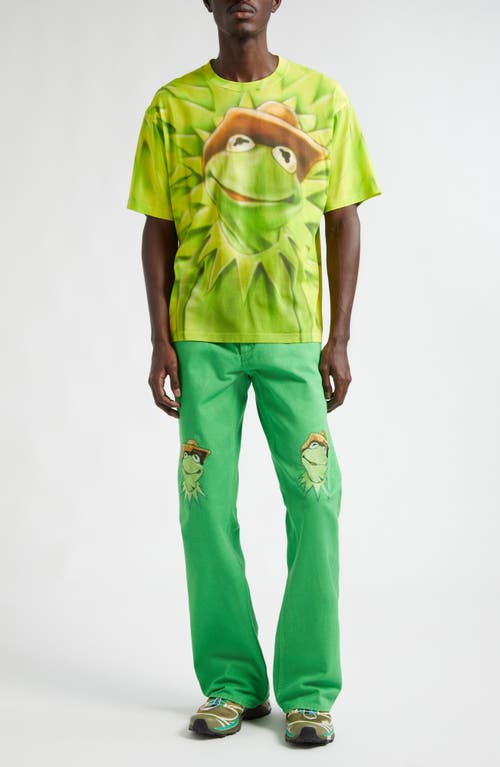 STOCKHOLM SURFBOARD CLUB Airbrush Kermit Organic Cotton Graphic T-Shirt at Nordstrom,