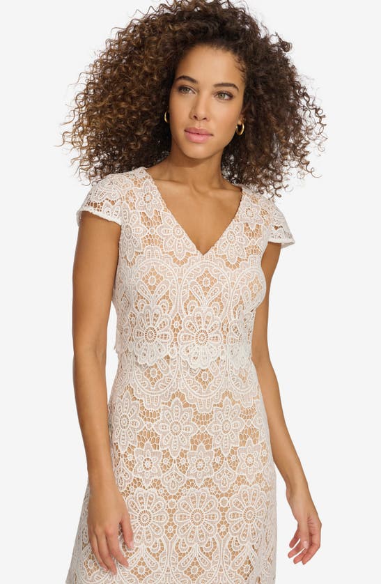 Shop Kensie Floral Lace Dress In White/ Nude