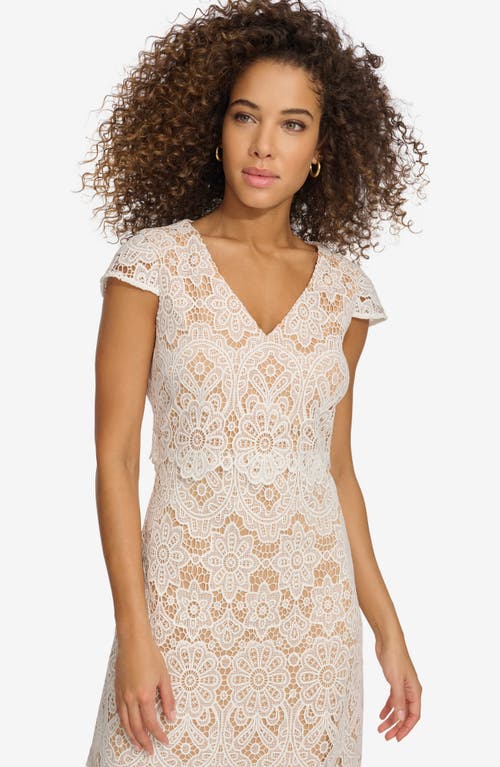 Shop Kensie Floral Lace Dress In White/nude