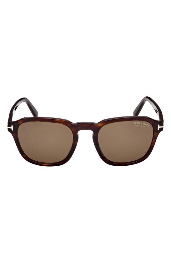 Tom Ford Avery 52mm Polarized Round Sunglasses In Dark Havana / Brown Polarized