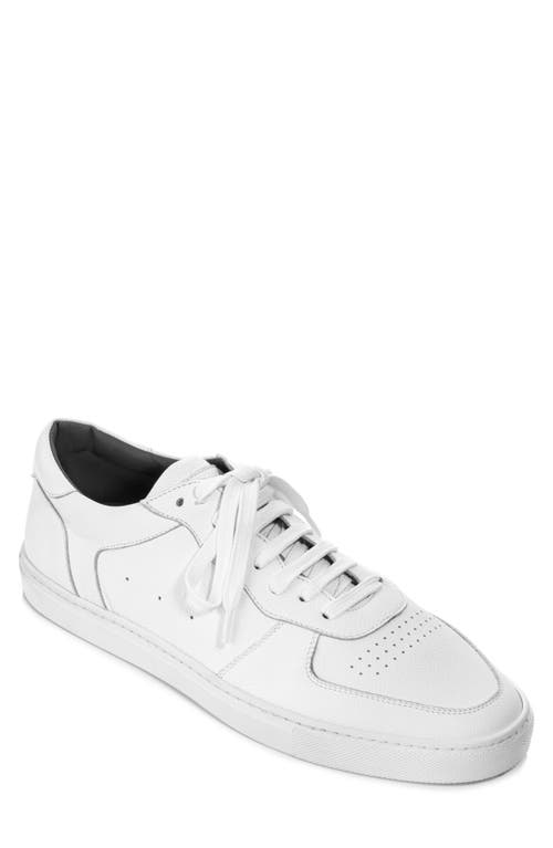 Barbera Sneaker in White