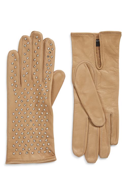Kelly Studded Leather Gloves in Nude