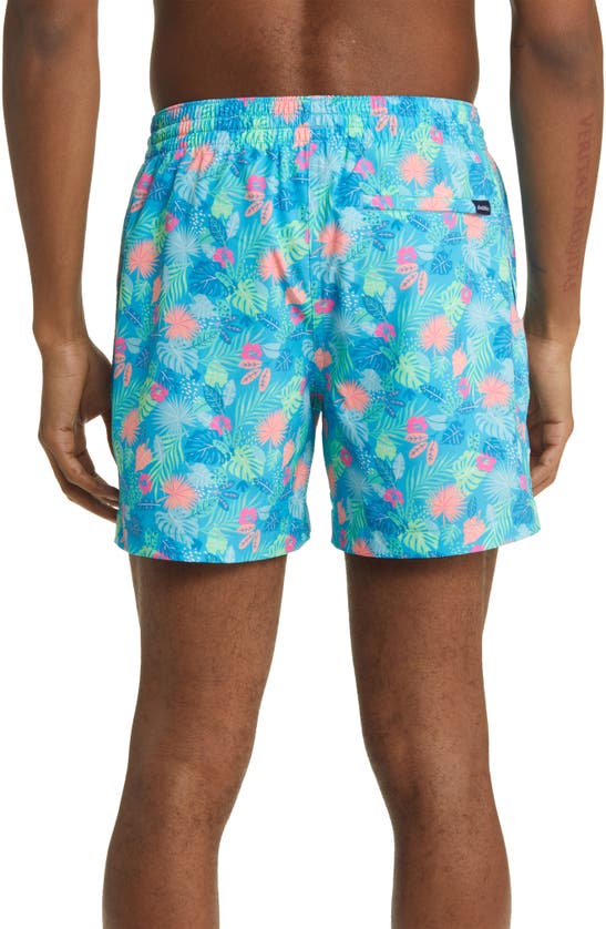 Shop Chubbies The Apex Swimmers Swim Trunks In The Wild Tropics
